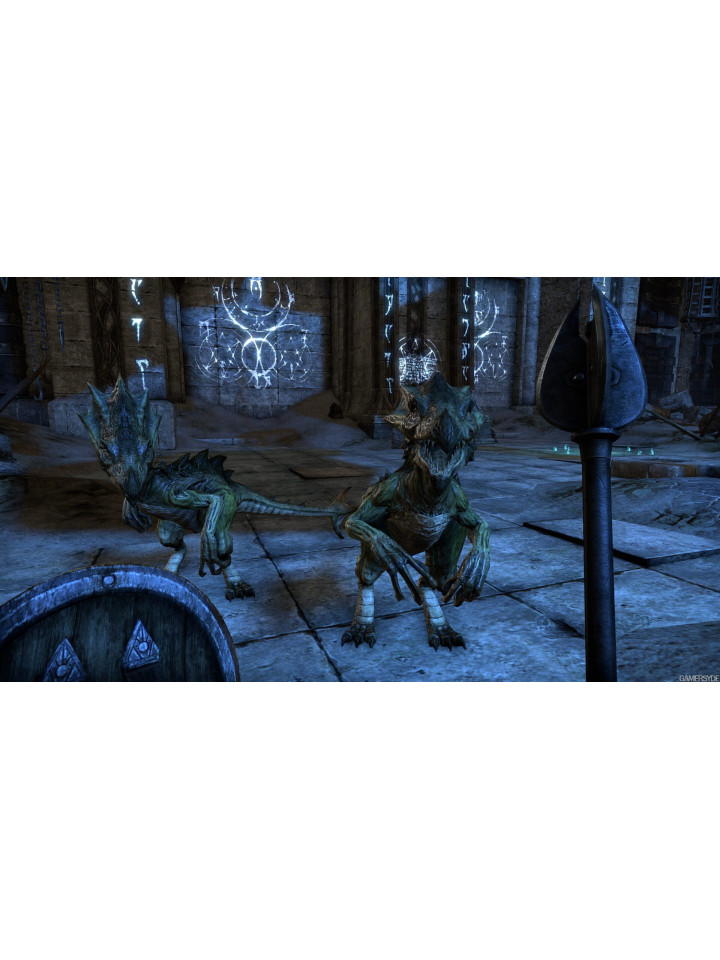 The Elder Scrolls Online: Tamriel Unlimited PS4 PS5