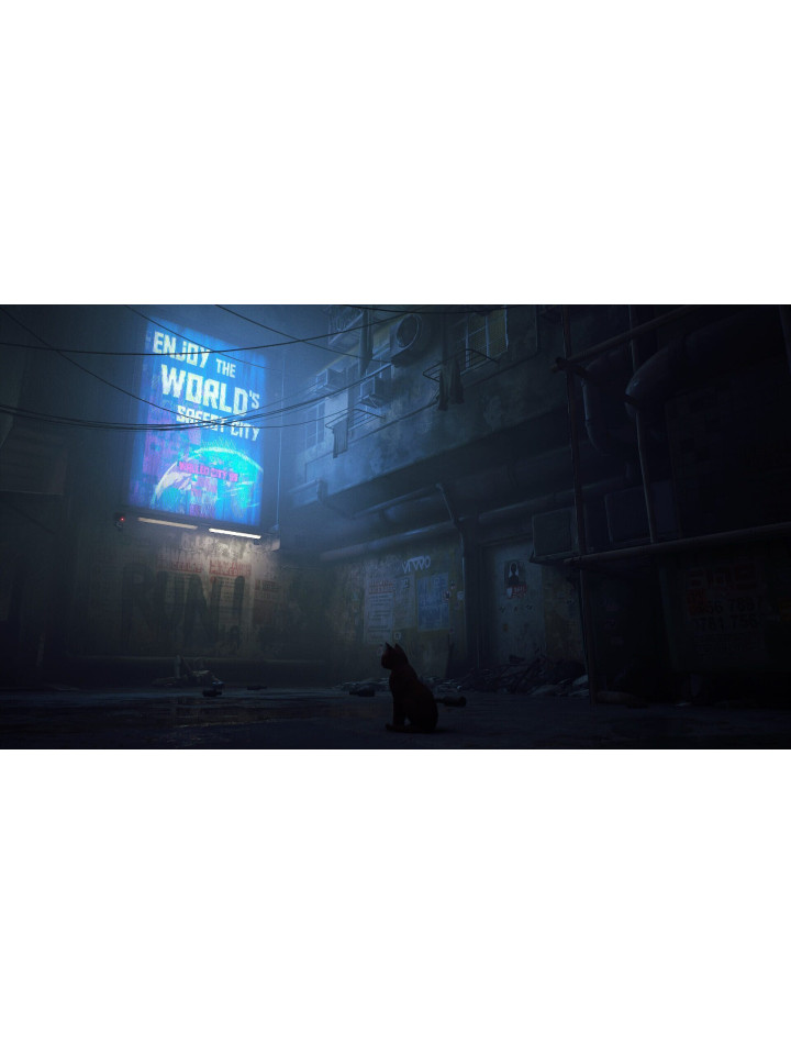 Stray Xbox Series X|S