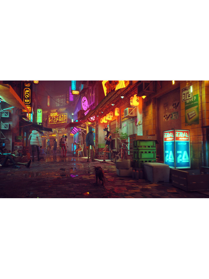 Stray PS4 PS5