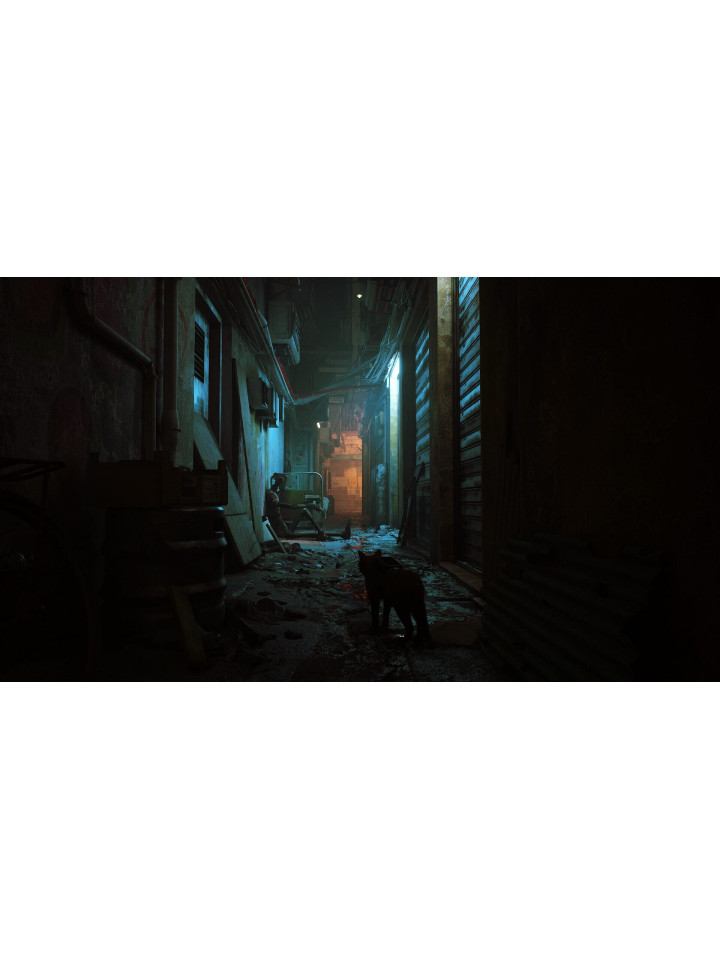 Stray PS4 PS5