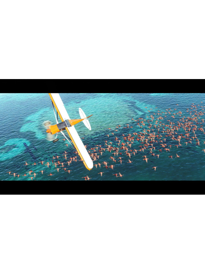 Microsoft Flight Simulator XBOX