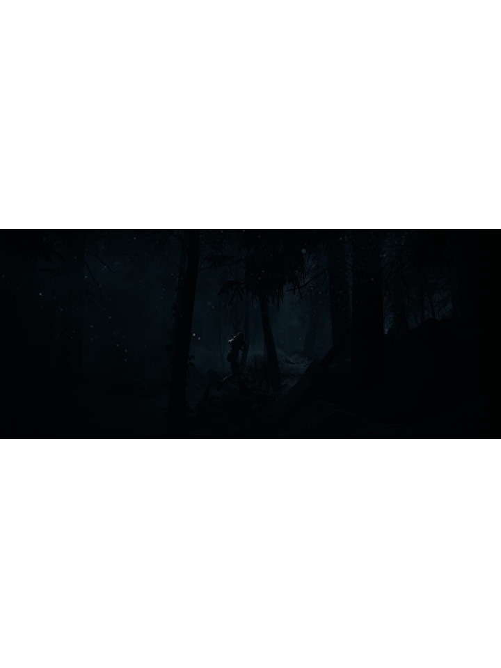 Until Dawn PS4 PS5