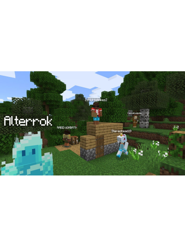 Minecraft: PlayStation4 Edition PS4 PS5