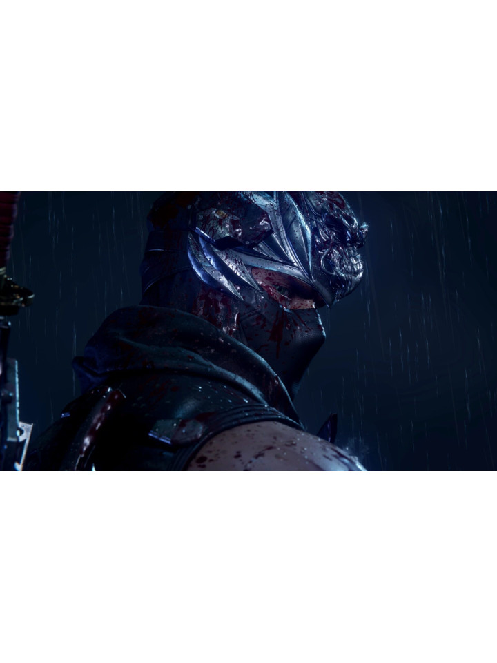 Ninja Gaiden 4 PS5