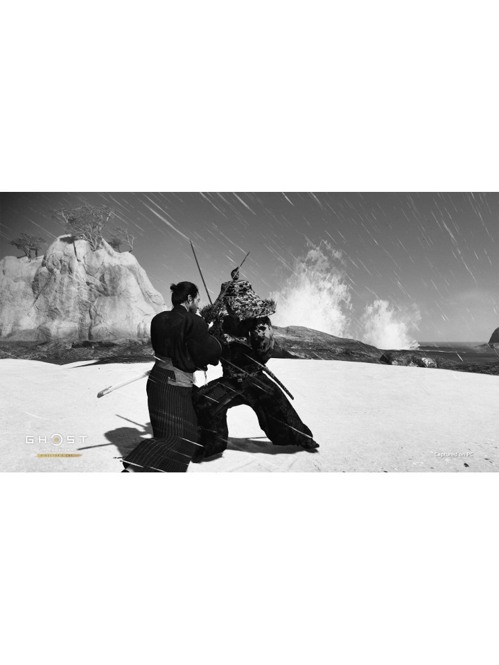 Ghost of Tsushima DIRECTOR'S CUT STEAM