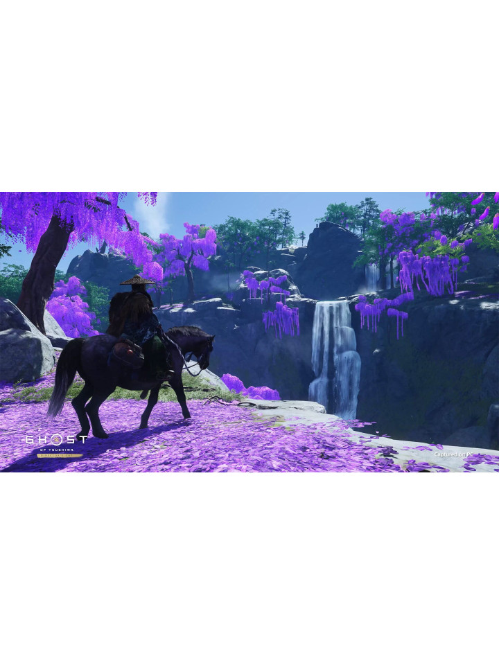 Ghost of Tsushima DIRECTOR'S CUT STEAM