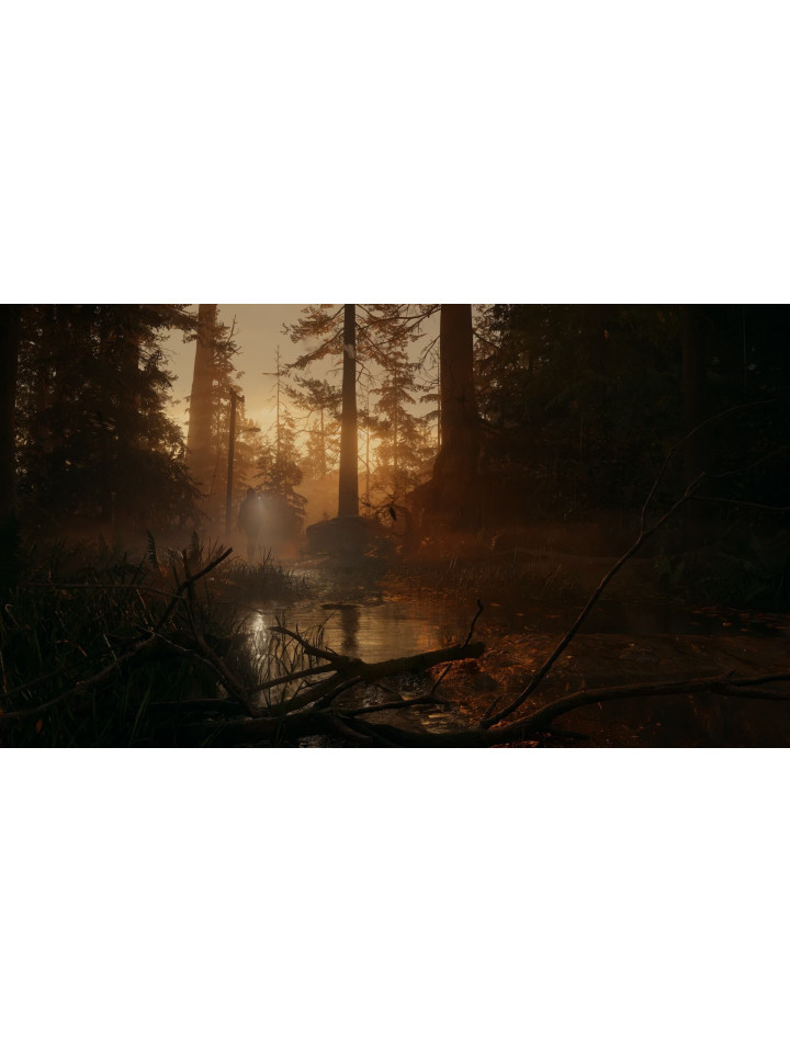 Alan Wake 2 PS5