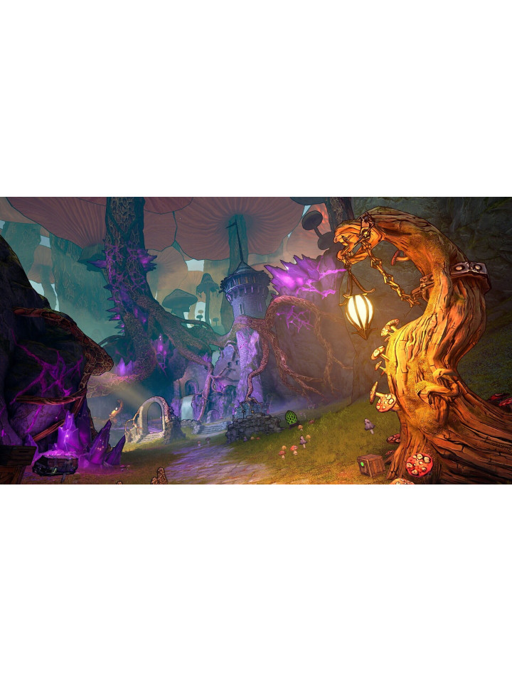 Tiny Tina's Wonderlands: Next-Level Edition PS5
