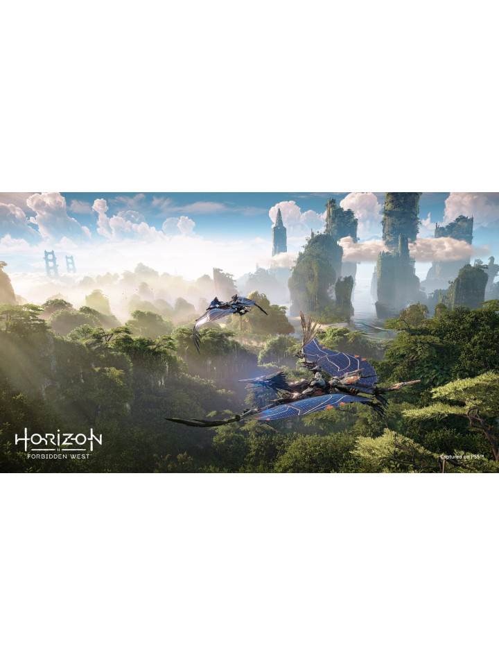 Horizon Forbidden West PS4 PS5