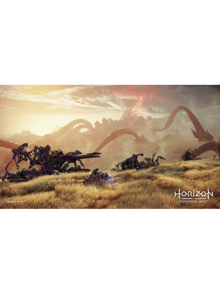 Horizon Forbidden West PS4 PS5