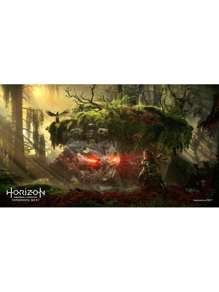 Horizon Forbidden West PS4 PS5