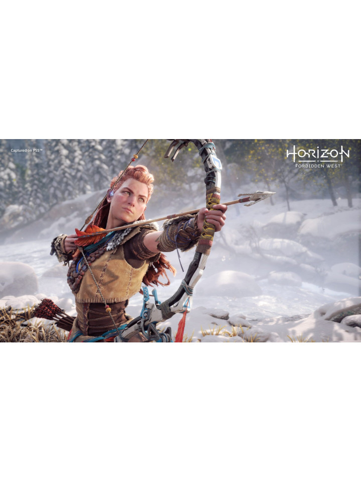 Horizon Forbidden West PS4 PS5