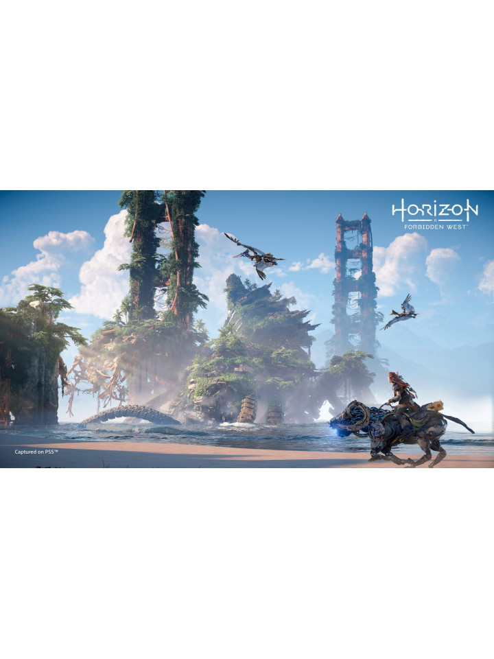 Horizon Forbidden West PS4 PS5