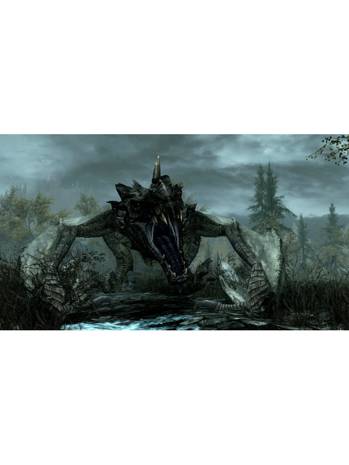 The Elder Scrolls V: Skyrim Anniversary Edition PS4 PS5