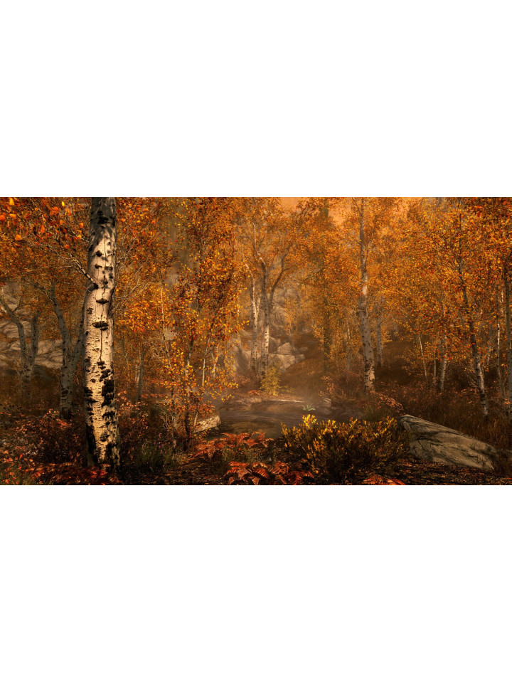 The Elder Scrolls V: Skyrim Anniversary Edition PS4 PS5