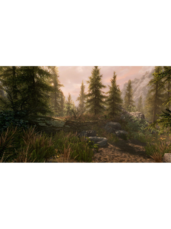 The Elder Scrolls V: Skyrim Anniversary Edition PS4 PS5