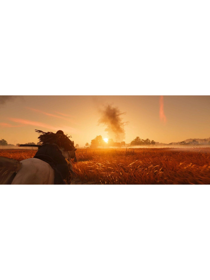 Ghost of Tsushima DIRECTOR’S CUT PS5 / PS4