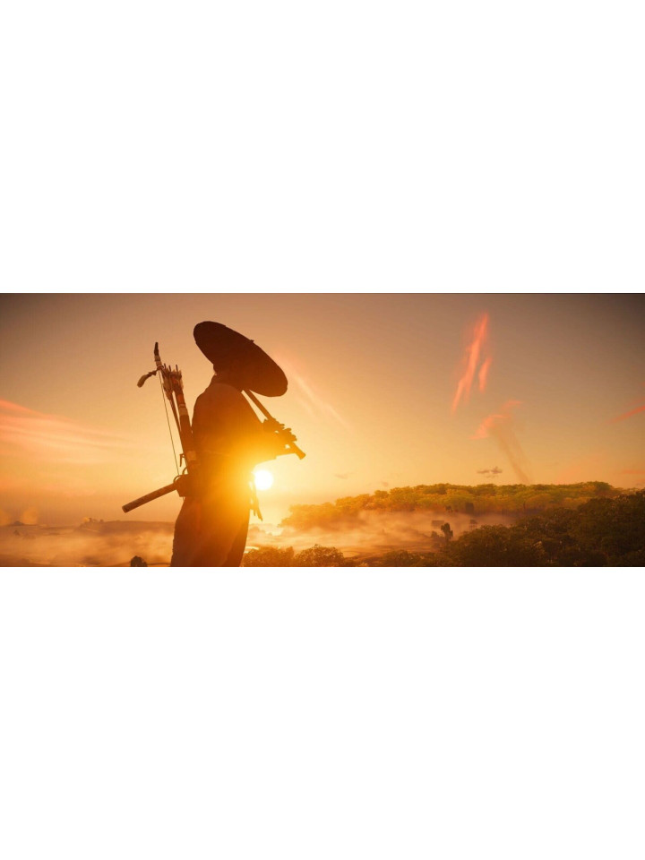 Ghost of Tsushima DIRECTOR’S CUT PS5 / PS4