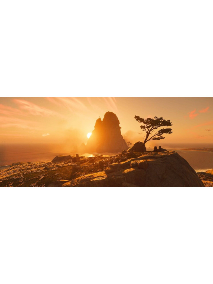 Ghost of Tsushima DIRECTOR’S CUT PS5 / PS4