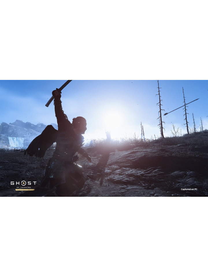 Ghost of Tsushima DIRECTOR’S CUT PS5 / PS4