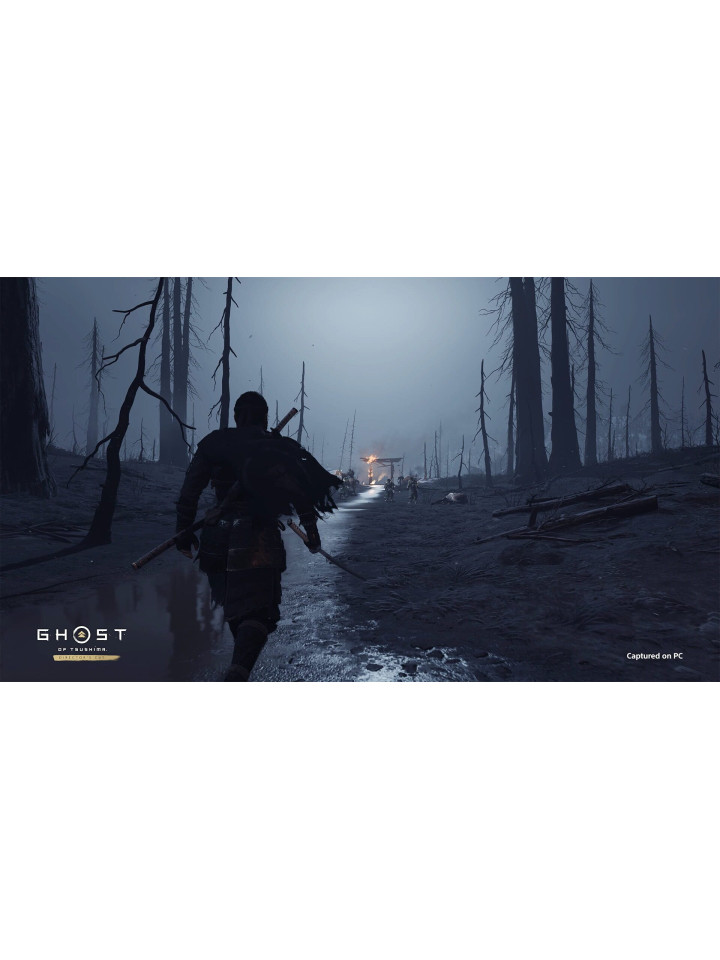 Ghost of Tsushima DIRECTOR’S CUT PS5 / PS4