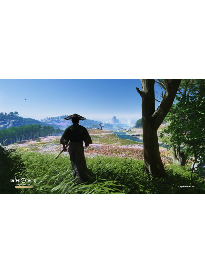Ghost of Tsushima DIRECTOR’S CUT PS5 / PS4
