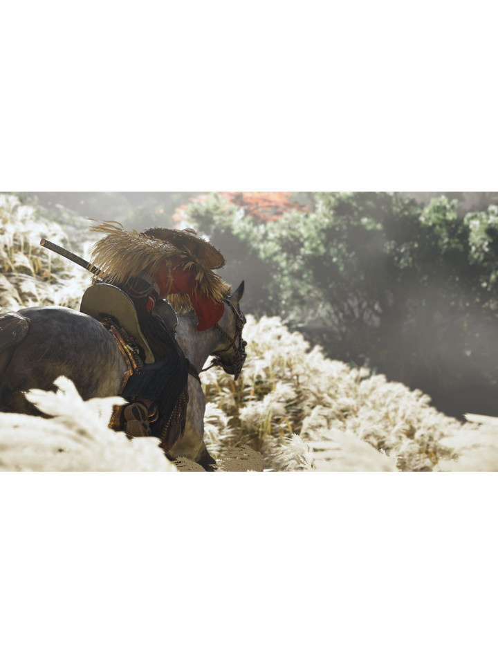 Ghost of Tsushima PS4 PS5