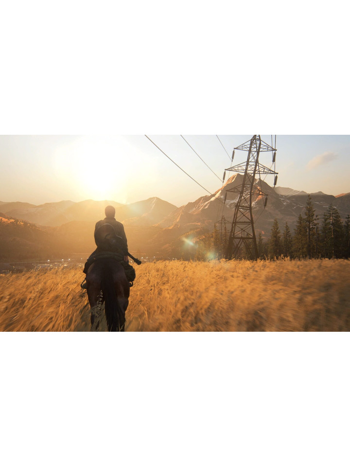The Last of Us Part II PS4 PS5