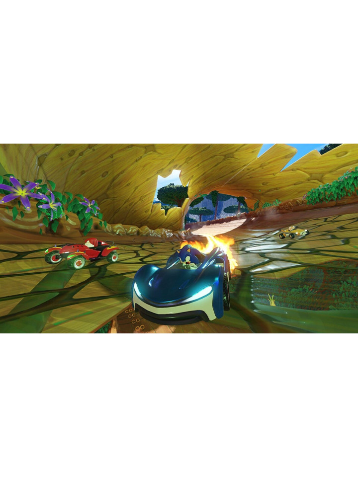Team Sonic Racing PS4 PS5