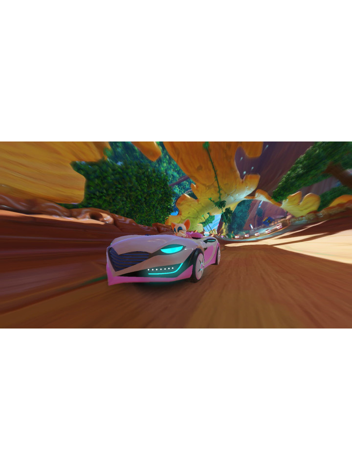 Team Sonic Racing PS4 PS5