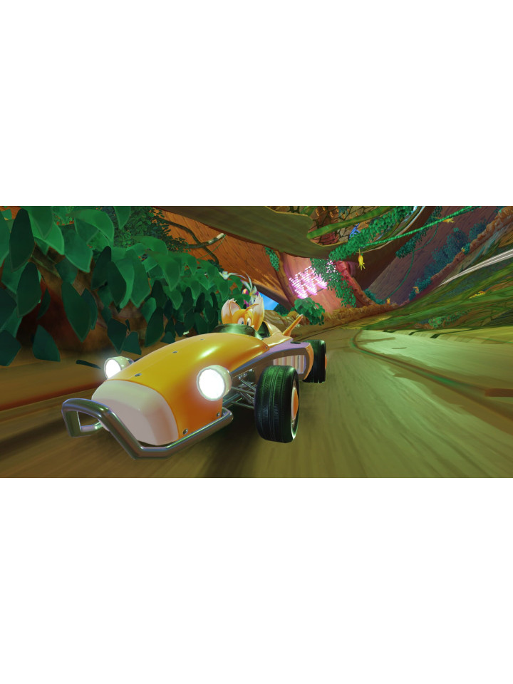 Team Sonic Racing PS4 PS5