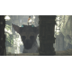The Last Guardian PS4 PS5