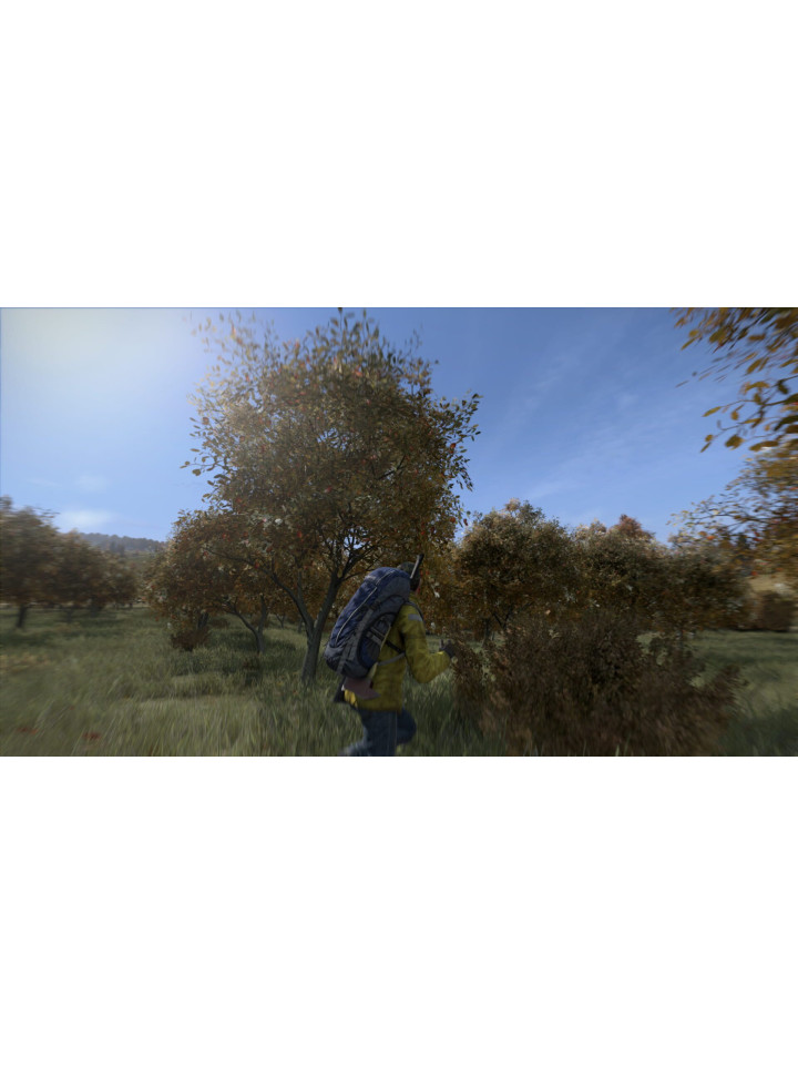 DayZ PS4 PS5
