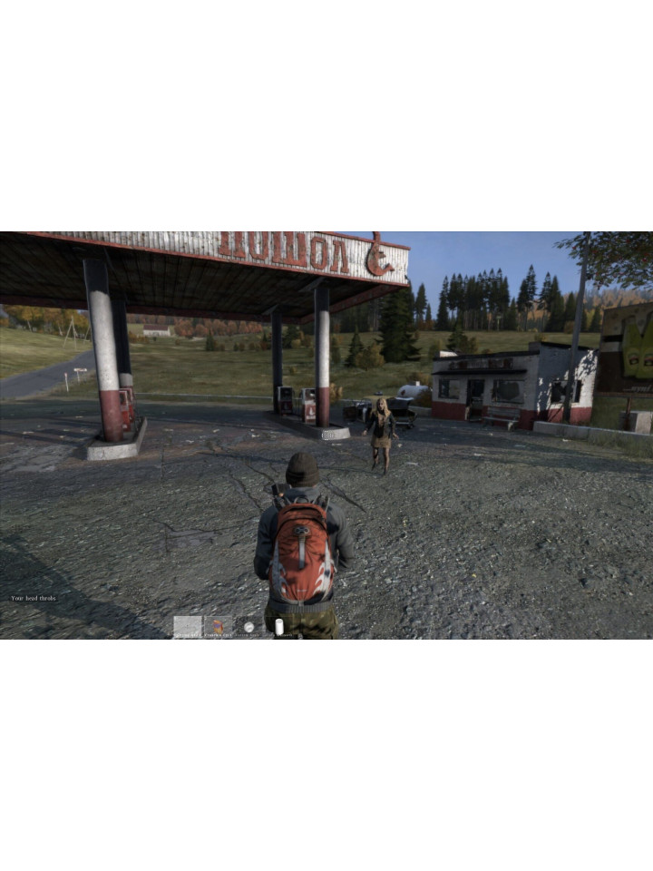 DayZ PS4 PS5