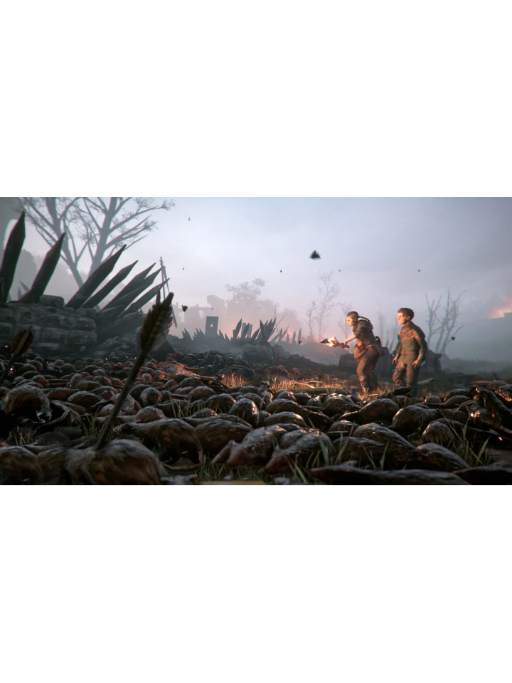 A Plague Tale: Innocence XBOX