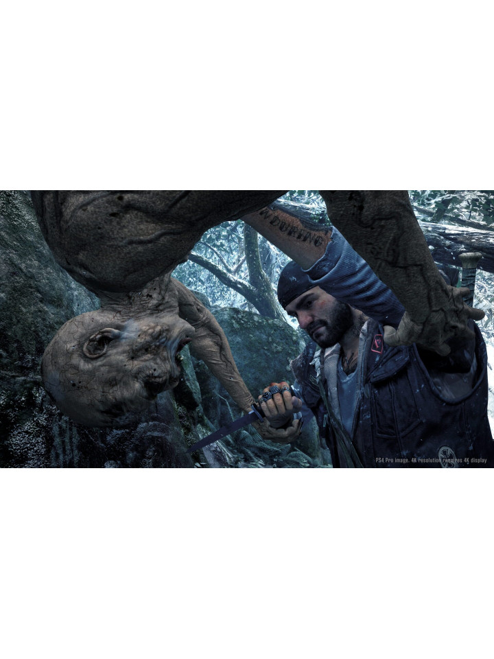 Days Gone PS4 PS5