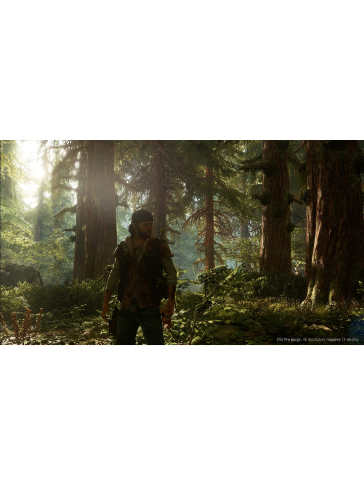 Days Gone PS4 PS5