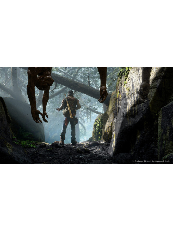 Days Gone PS4 PS5