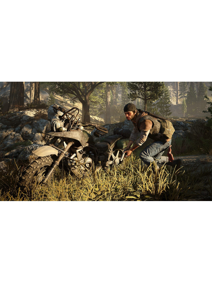 Days Gone PS4 PS5
