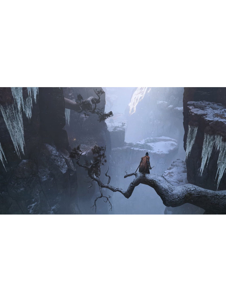 Sekiro: Shadows Die Twice PS4 PS5