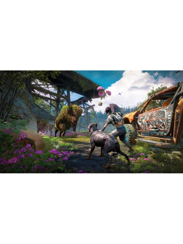 Far Cry New Dawn PS4 PS5