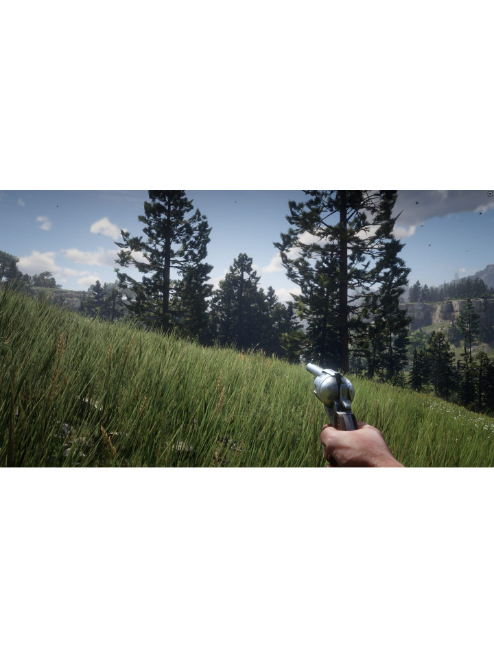 Red Dead Redemption 2 XBOX