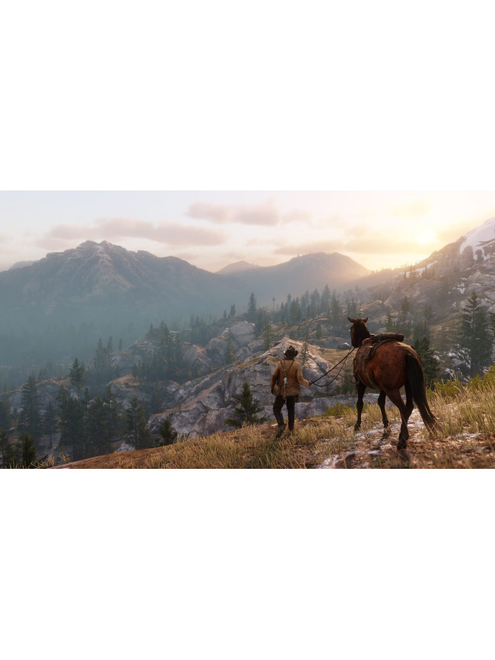 Red Dead Redemption 2 PS4 PS5