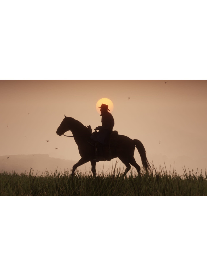 Red Dead Redemption 2 PS4 PS5