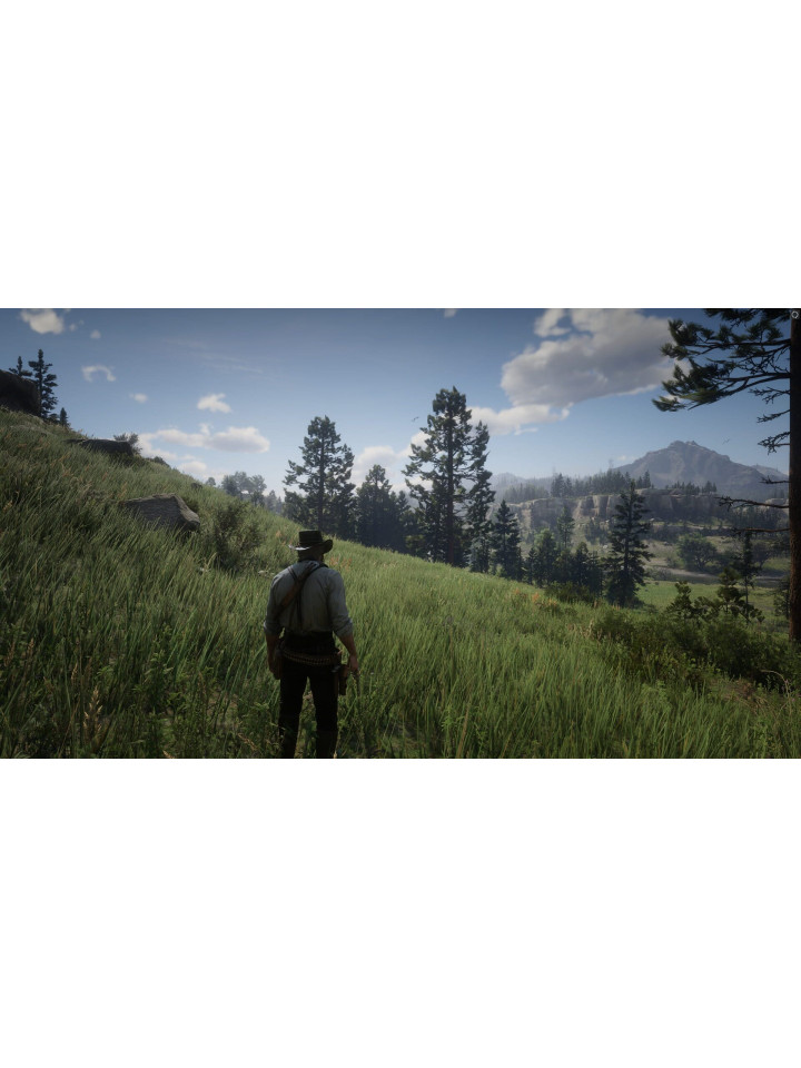 Red Dead Redemption 2 PS4 PS5