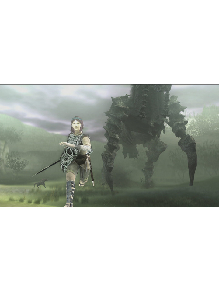 SHADOW OF THE COLOSSUS PS4 PS5