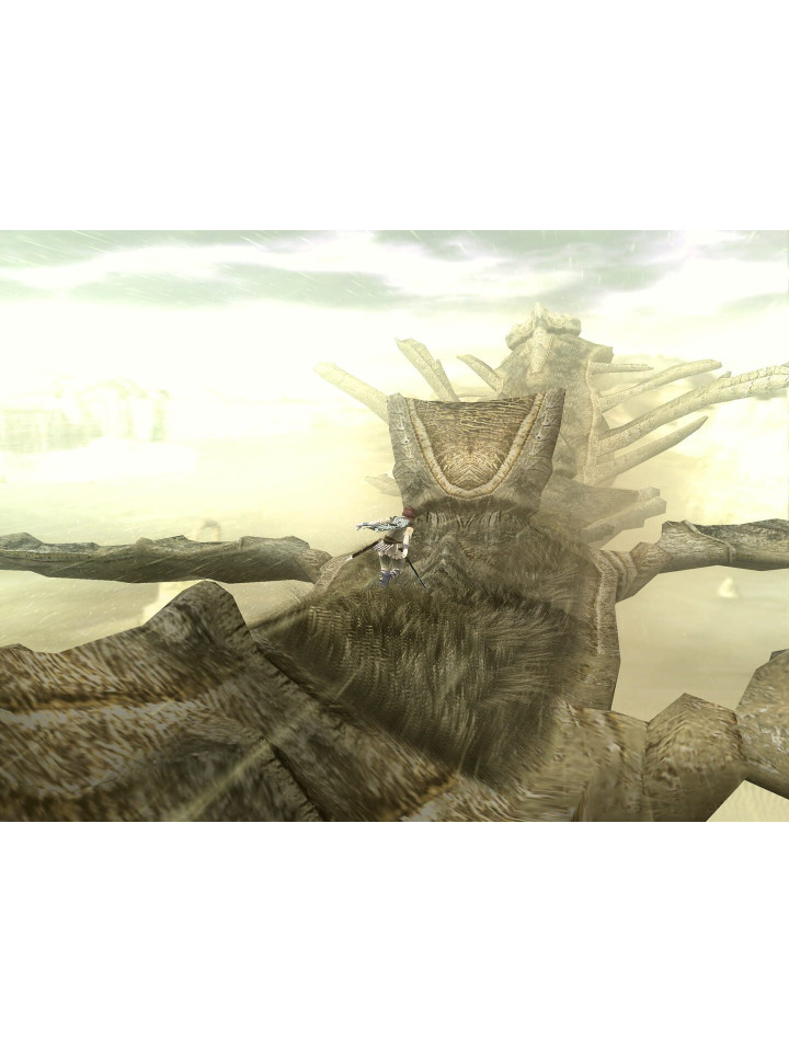 SHADOW OF THE COLOSSUS PS4 PS5