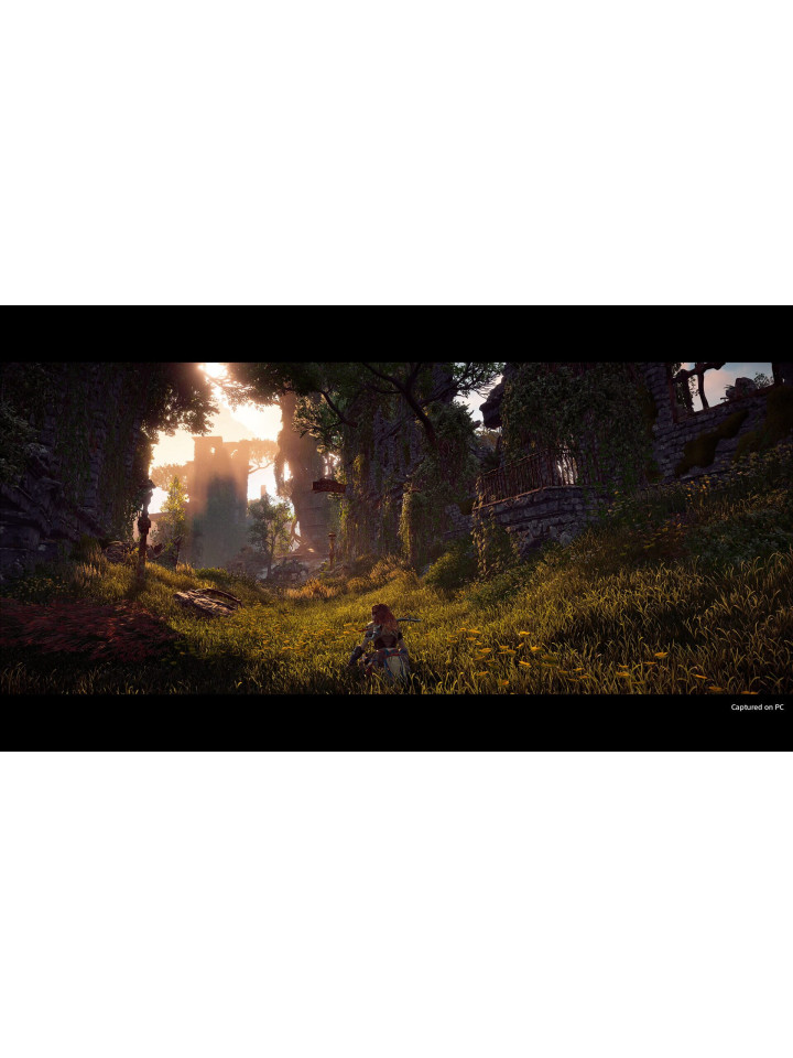 Horizon Zero Dawn: Complete Edition PS4 PS5