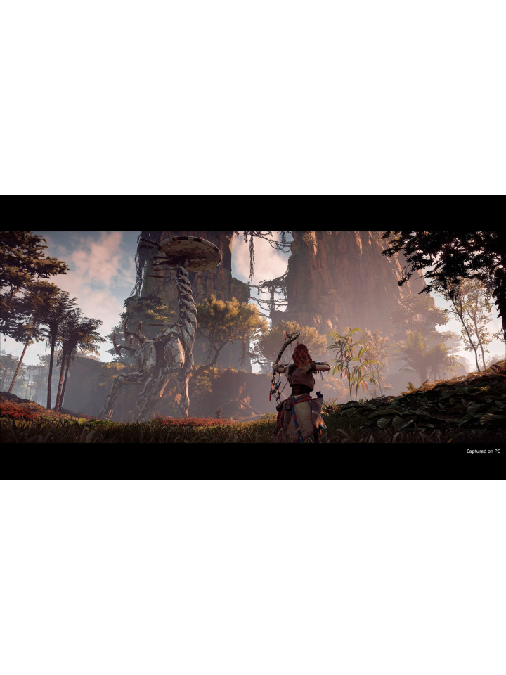 Horizon Zero Dawn: Complete Edition PS4 PS5